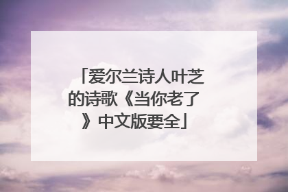 爱尔兰诗人叶芝的诗歌《当你老了》中文版要全