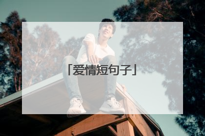 爱情短句子