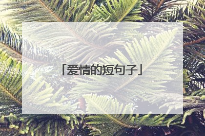 爱情的短句子