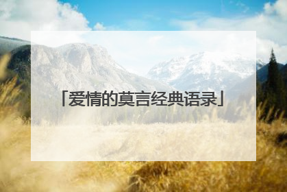 爱情的莫言经典语录