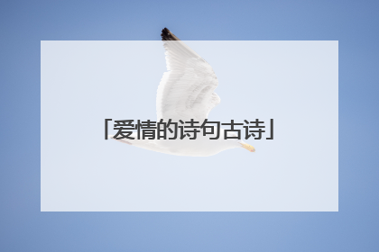 爱情的诗句古诗