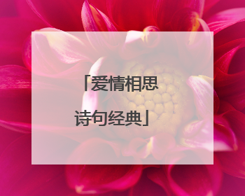 爱情相思诗句经典