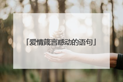 爱情箴言感动的语句