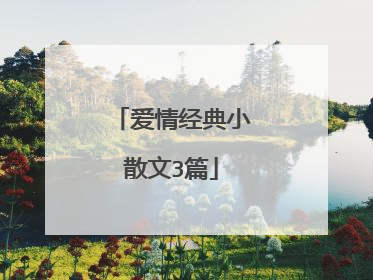 爱情经典小散文3篇