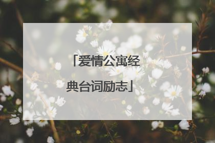 爱情公寓经典台词励志