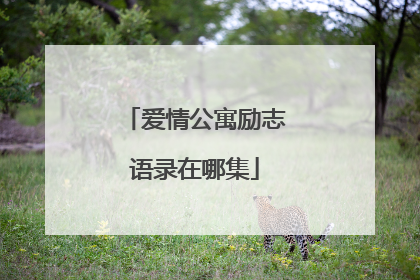 爱情公寓励志语录在哪集