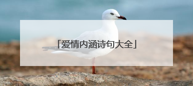 爱情内涵诗句大全