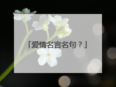 爱情名言名句？