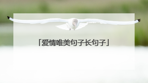 爱情唯美句子长句子