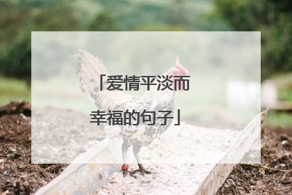 爱情平淡而幸福的句子