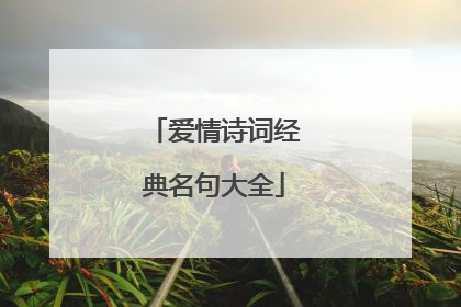 爱情诗词经典名句大全