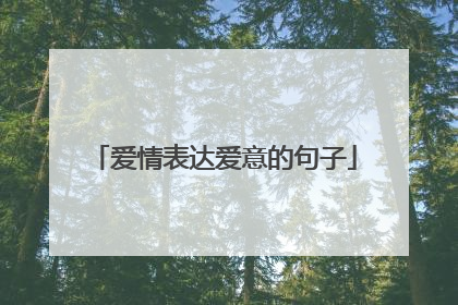 爱情表达爱意的句子