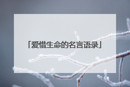 爱惜生命的名言语录