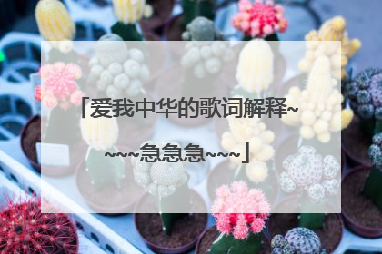 爱我中华的歌词解释~~~~急急急~~~