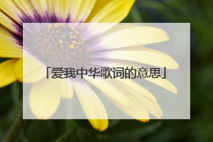 爱我中华歌词的意思