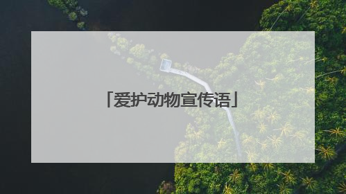 爱护动物宣传语