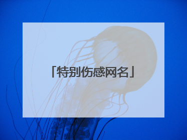特别伤感网名