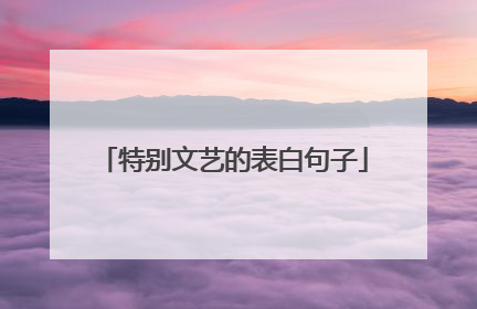 特别文艺的表白句子