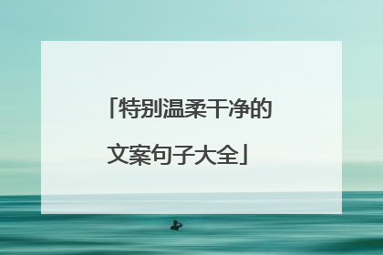 特别温柔干净的文案句子大全