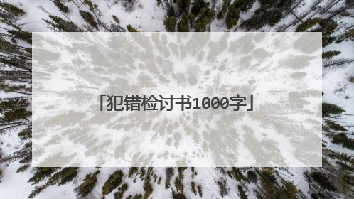 犯错检讨书1000字