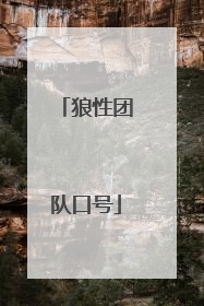 狼性团队口号