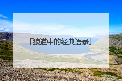 狼道中的经典语录