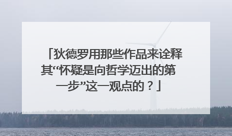 狄德罗用那些作品来诠释其“怀疑是向哲学迈出的第一步”这一观点的？