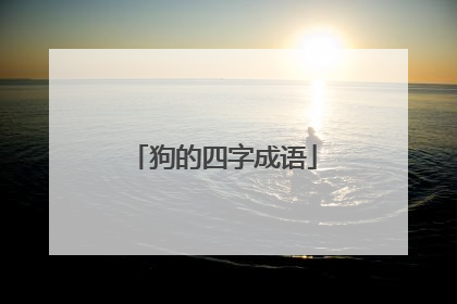 狗的四字成语