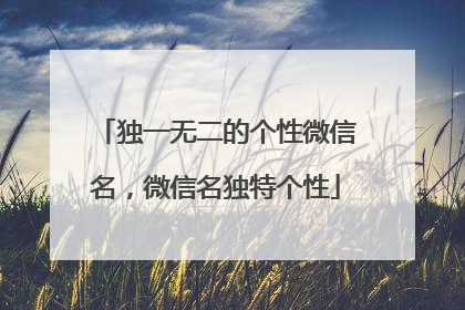 独一无二的个性微信名，微信名独特个性