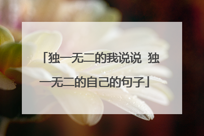 独一无二的我说说 独一无二的自己的句子