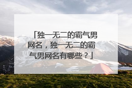 独一无二的霸气男网名，独一无二的霸气男网名有哪些？