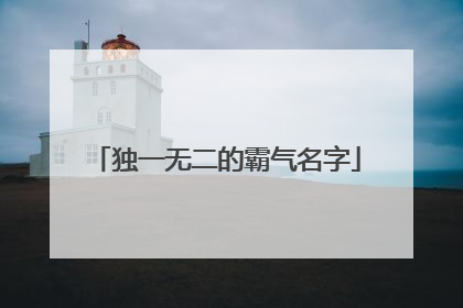 独一无二的霸气名字