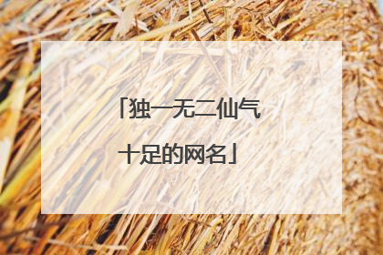独一无二仙气十足的网名