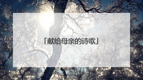 献给母亲的诗歌