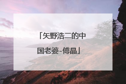 矢野浩二的中国老婆-傅晶
