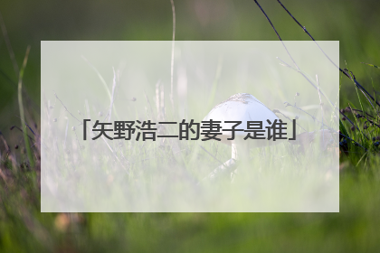 矢野浩二的妻子是谁