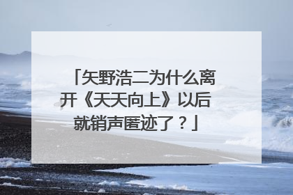 矢野浩二为什么离开《天天向上》以后就销声匿迹了?