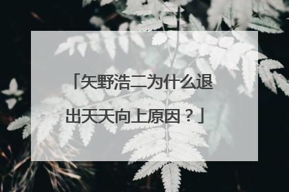 矢野浩二为什么退出天天向上原因？