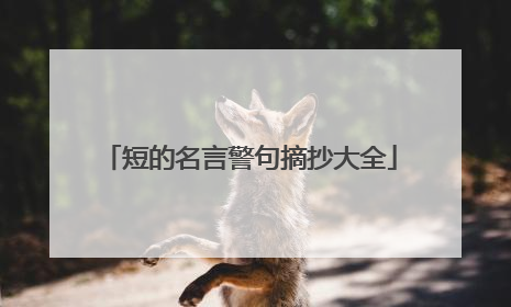 短的名言警句摘抄大全