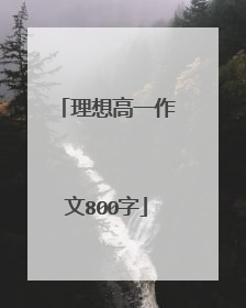 理想高一作文800字