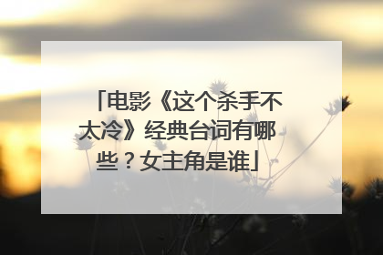 电影《这个杀手不太冷》经典台词有哪些？女主角是谁