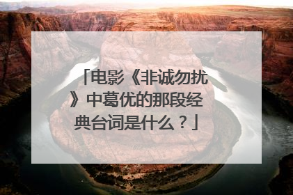 电影《非诚勿扰》中葛优的那段经典台词是什么?