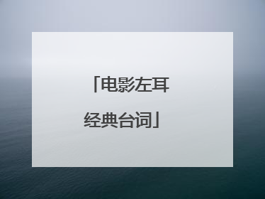 电影左耳经典台词