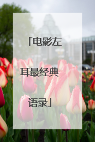 电影左耳最经典语录