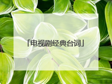 电视剧经典台词