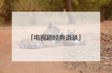 电视剧经典语录