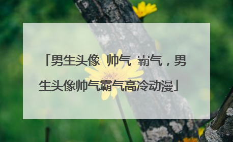 男生头像 帅气 霸气,男生头像帅气霸气高冷动漫