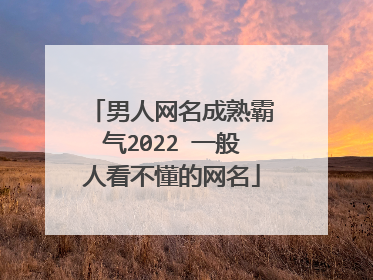 男人网名成熟霸气2022 一般人看不懂的网名