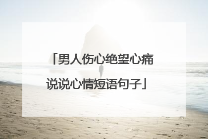 男人伤心绝望心痛说说心情短语句子