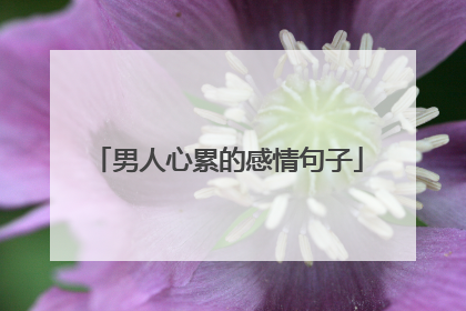 男人心累的感情句子
